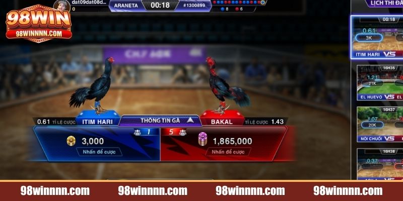 da-ga-98win-gioi-thieu